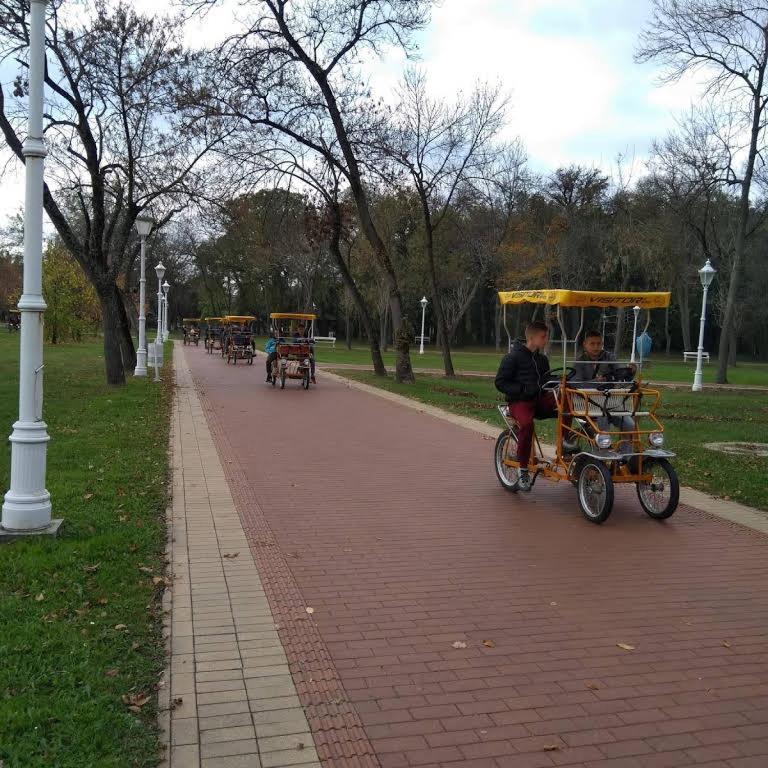 Apartman Buba Palic Bagian luar foto