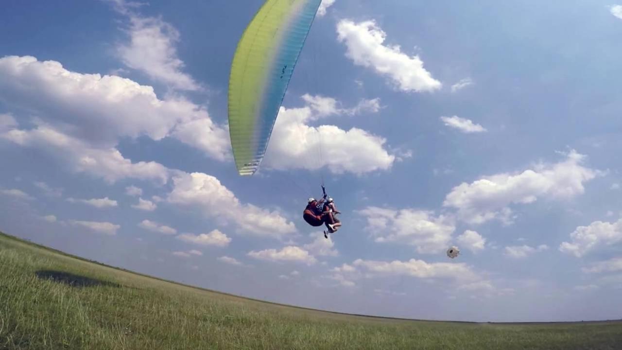 Apartman Buba Palic Bagian luar foto