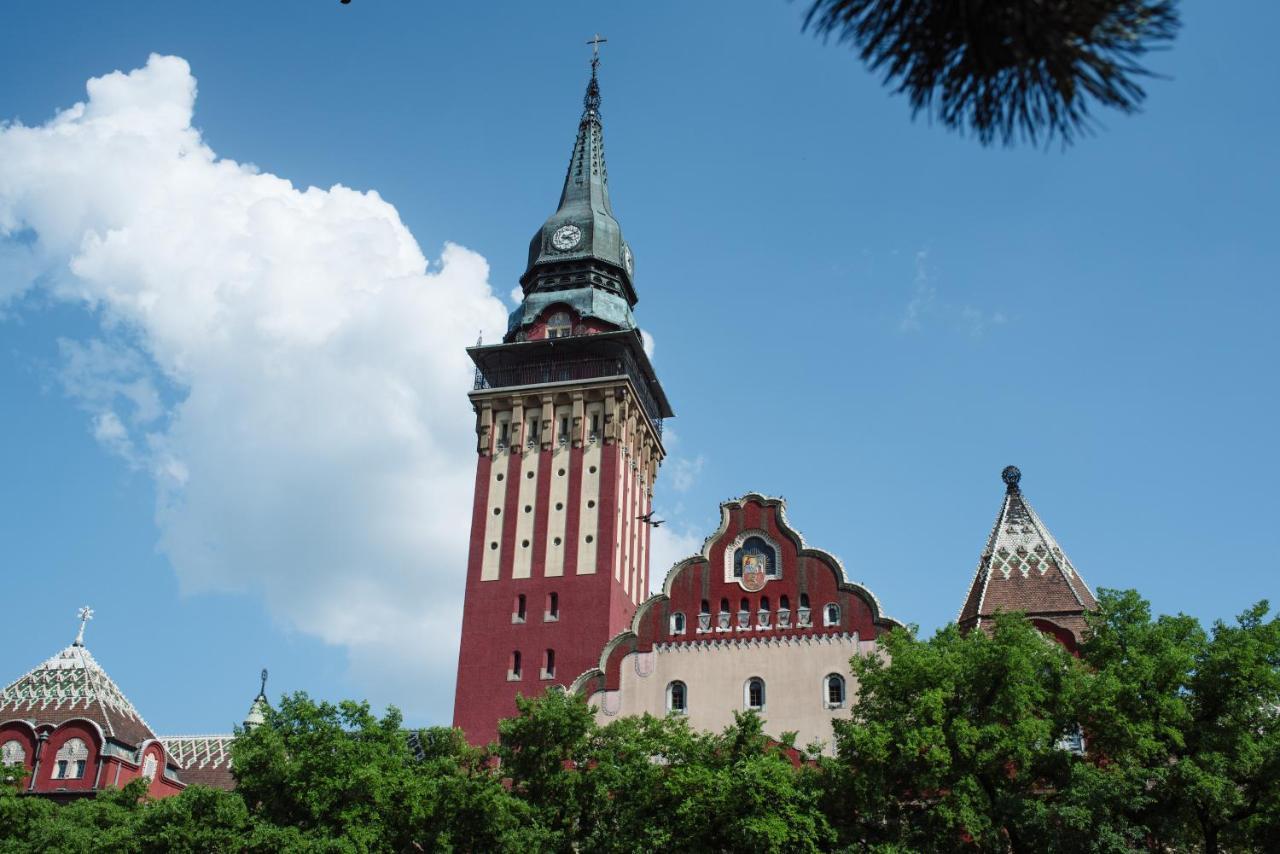 Apartman Buba Palic Bagian luar foto