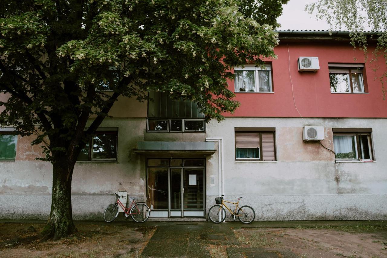 Apartman Buba Palic Bagian luar foto
