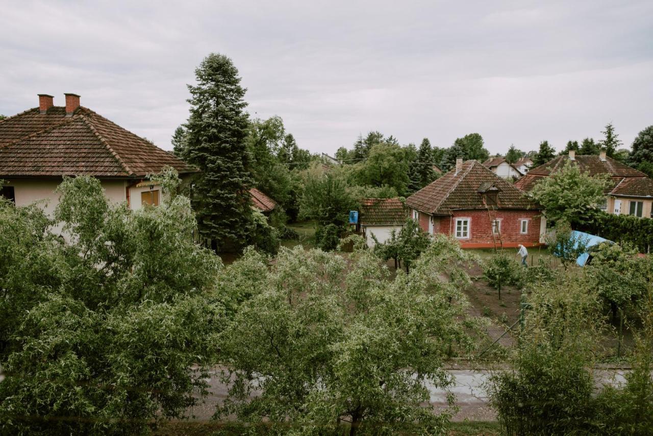 Apartman Buba Palic Bagian luar foto