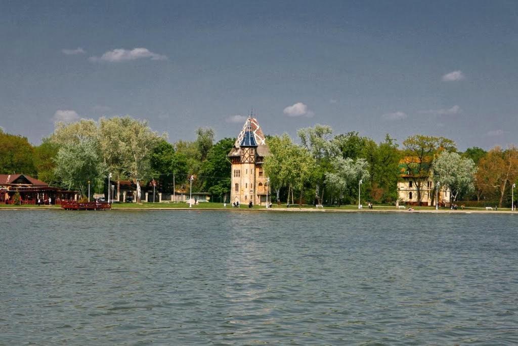 Apartman Buba Palic Bagian luar foto